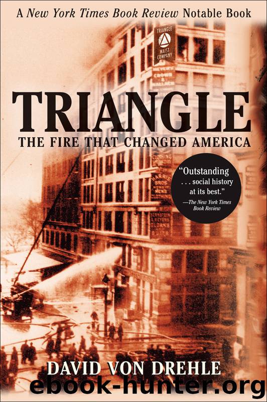 Triangle The Fire That Changed America by David Drehle free ebooks